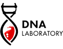 DNA Laboratory steroids