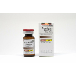 Testosterone Enanthate GENESIS - 250 mg/ml (10 ml)