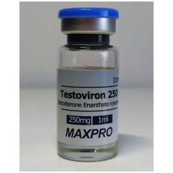 Testoviron 250 MAX PRO - 250 mg/ml (10 ml)